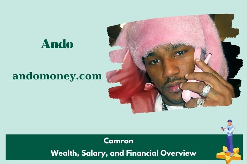 Camron assets, salary and financial overview