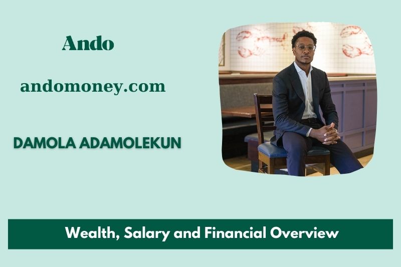 Damola Adamolekun prosperity, salary and financial overview