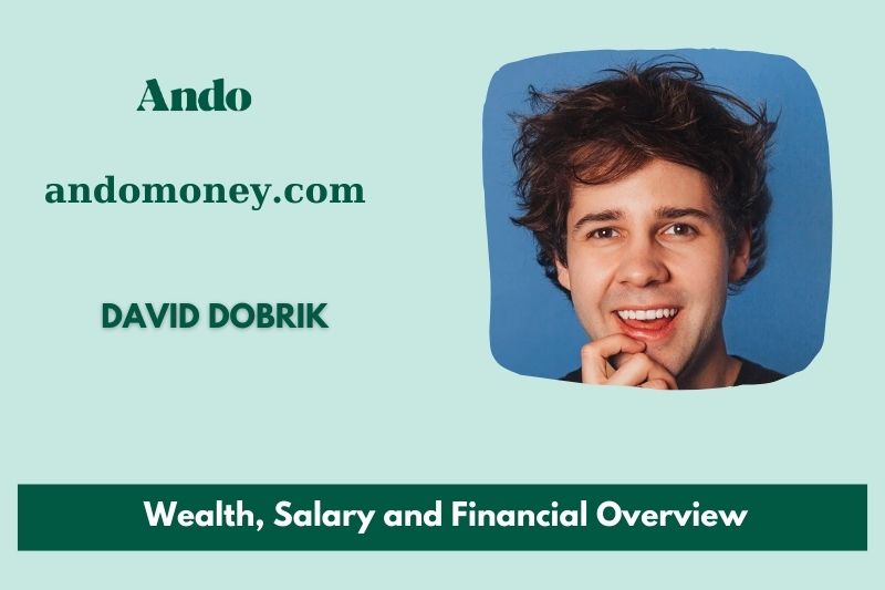 David Dobrik assets, salary and financial overview