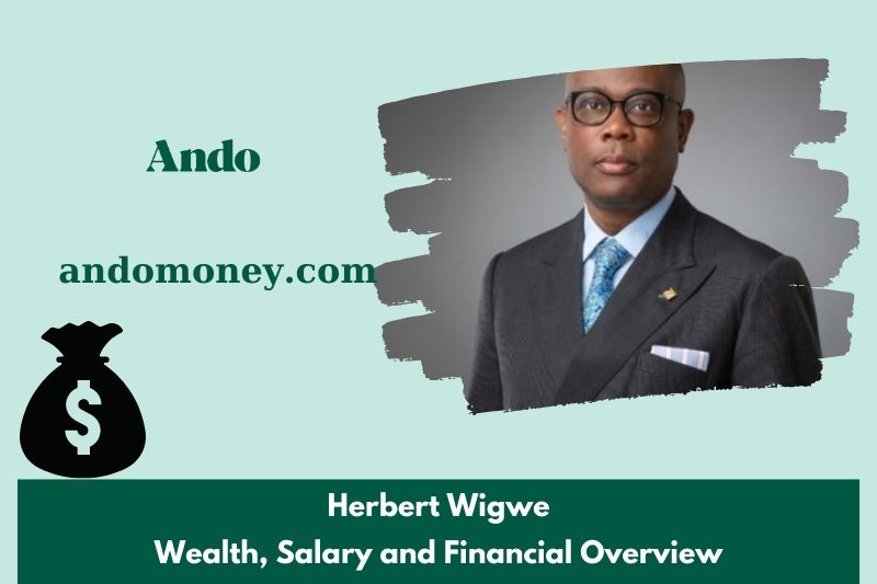 Herbert Wigwe for wealth, salary and financial overview