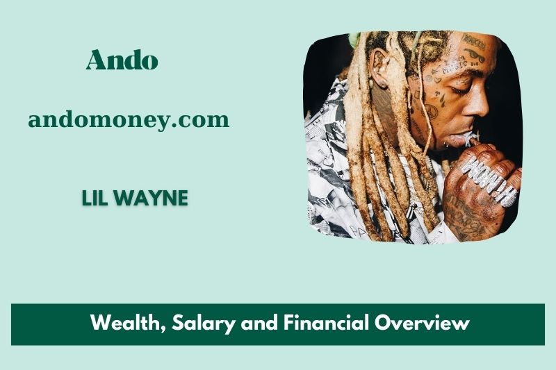 Lil Wayne wealth, salary and financial overview