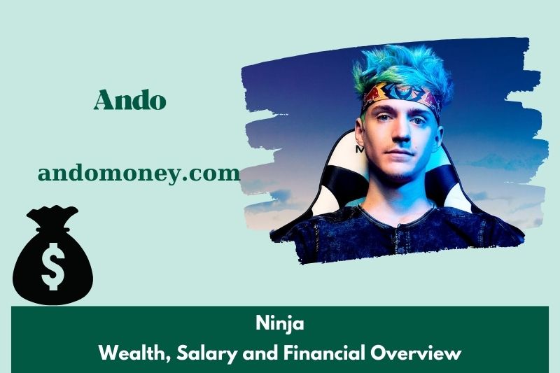 Ninja assets, salary and financial overview