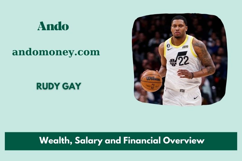 Rudy Gay wealth, salary and financial overview