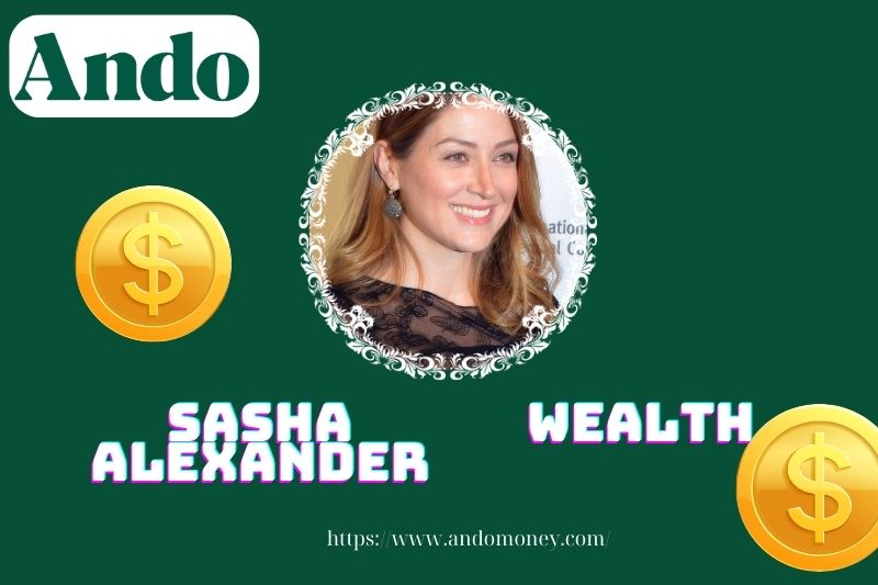 Sasha Alexander Vermöes, Salary and Financial Overview