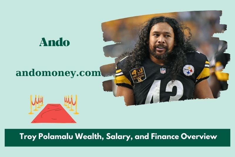 Troy Polamalu wealth, salary and financial overview