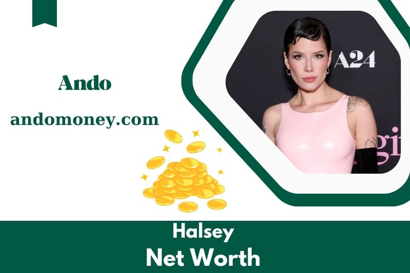 What is Netto -assets from Halsey in 2025