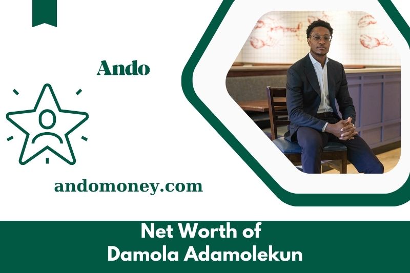 What is the net assets of Damola Adamolekun in 2025