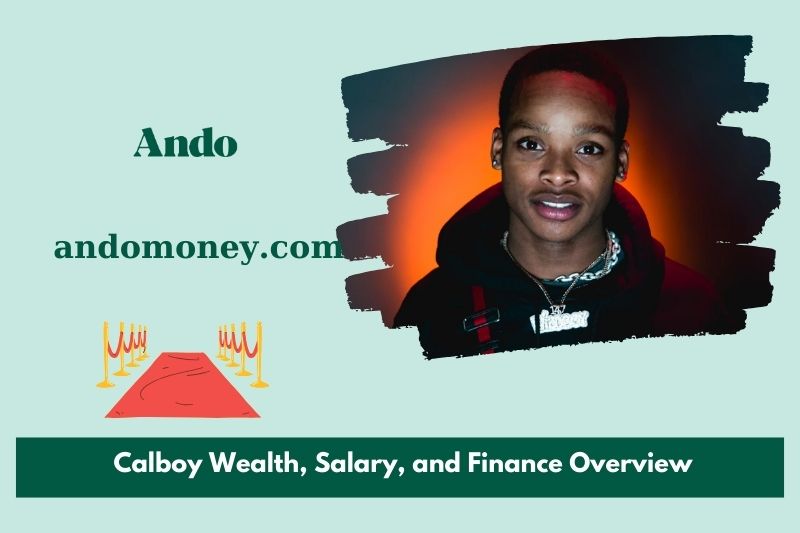 Calboy wealth, salary and financial overview