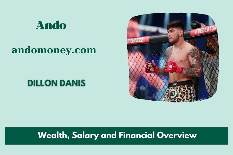 Dillon Dani's assets, salary and financial overview