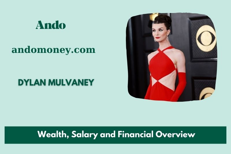 Dylan Mulvaney assets, salary and financial overview