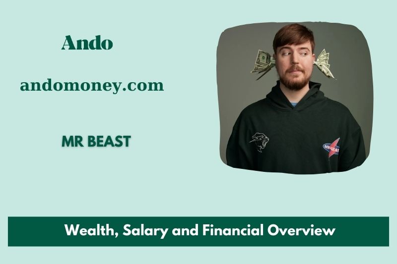 Mr. Beast Wealth, salary and financial overview