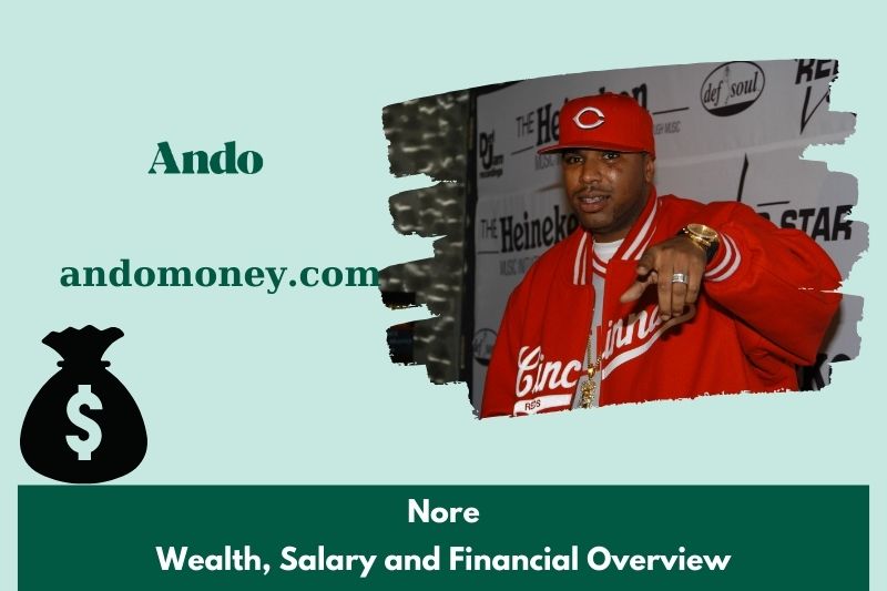 Nore assets, salary and financial overview