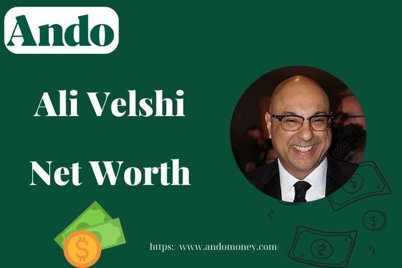 What is Ali Velshi Net Worth 2025: Wealth, Salary & Financial Overview