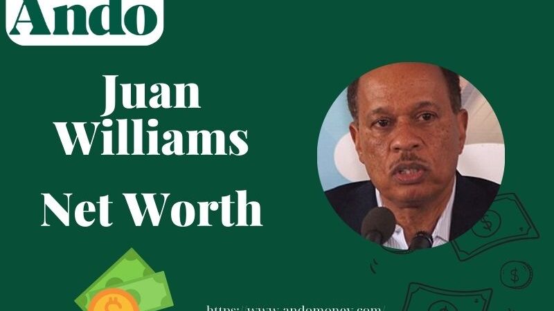 What is Juan Williams Net Worth 2025: Salary, Wealth & Financial Overview