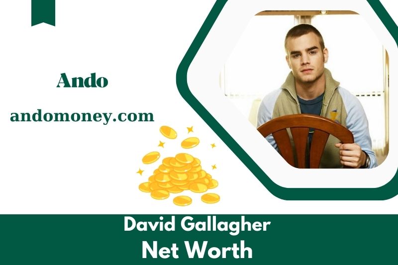 What is David Gallagher's net assets in 2025