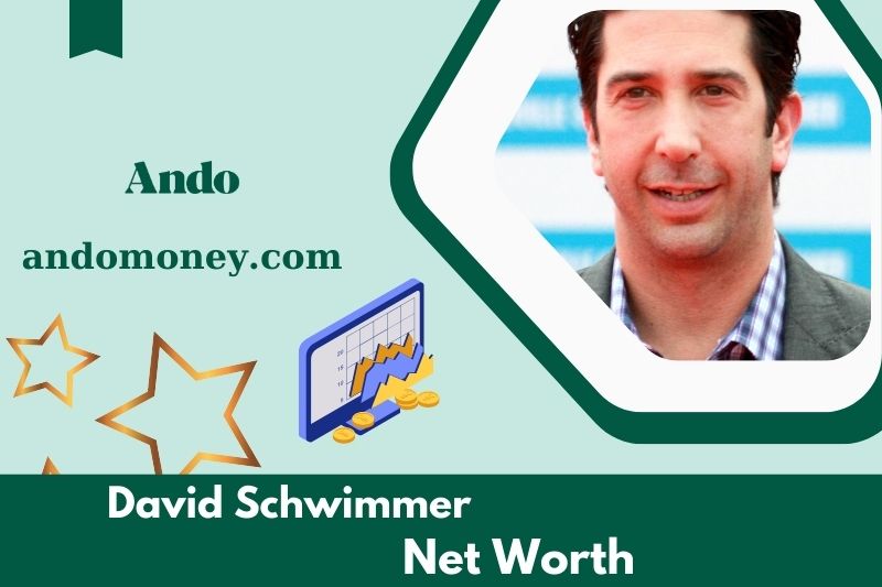 What is David Schwimmer's net assets in 2025