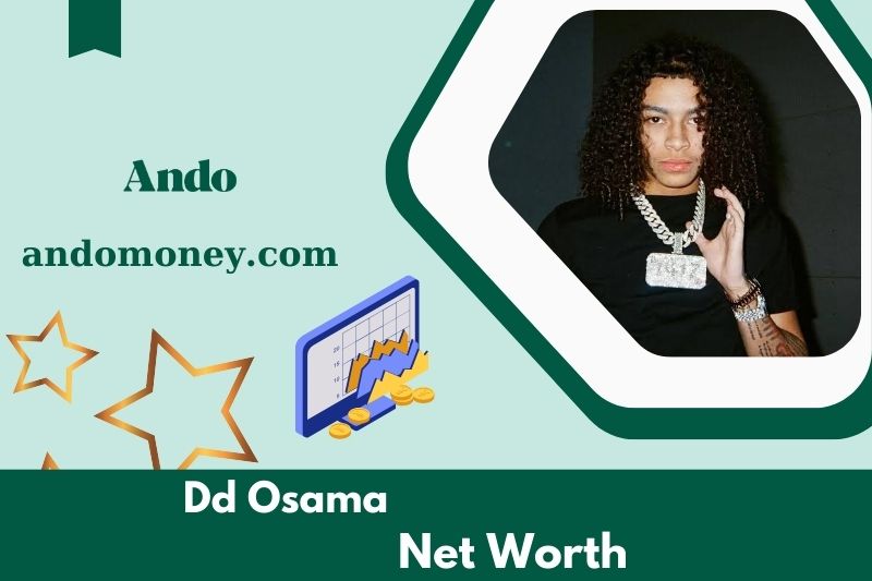 What is the net assets of DD Osama in 2025