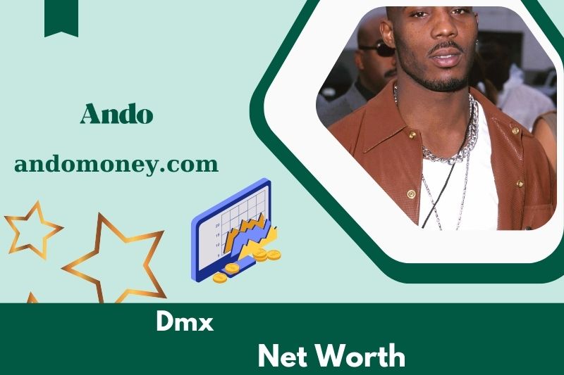 What is the net assets of DMX in 2025