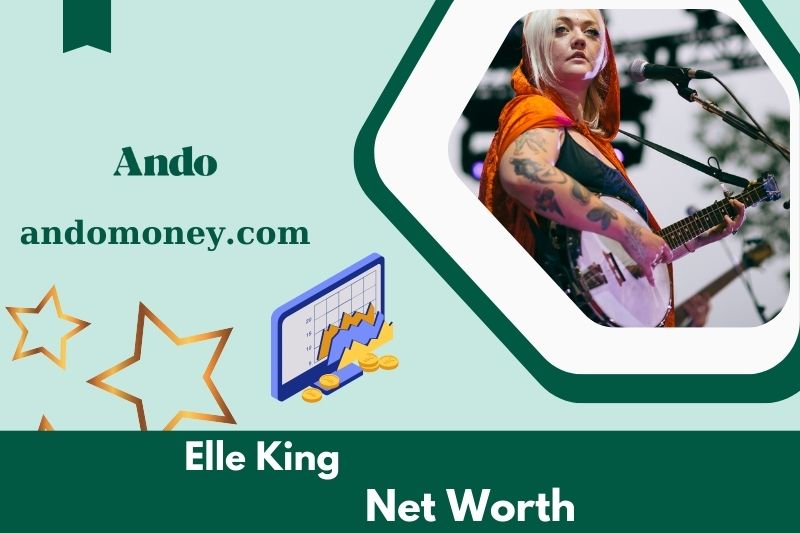 What is Elle King's net assets in 2025