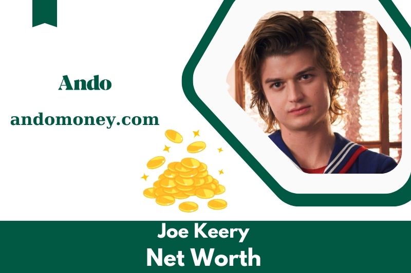 What is Joe Keery's net assets in 2025