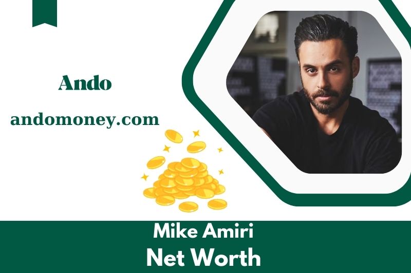 What is Mike Amiri's net assets in 2025