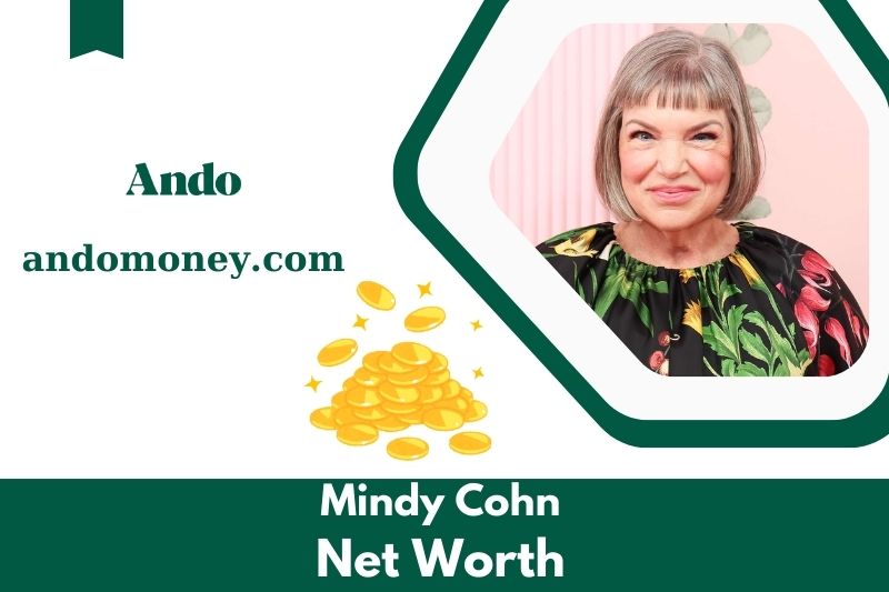 What is Mindy Cohn's net assets in 2025