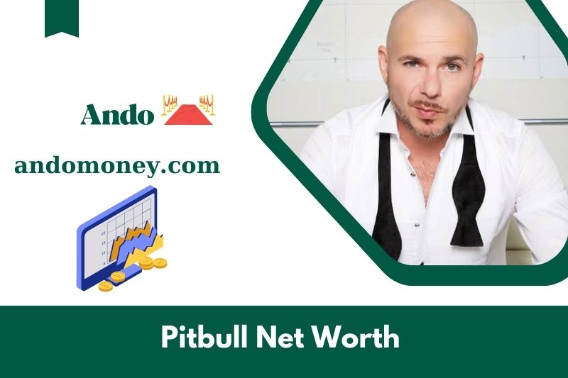 What is Pitbull's net assets in 2025