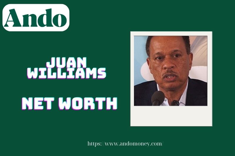 What is Juan Williams' assets in 2025