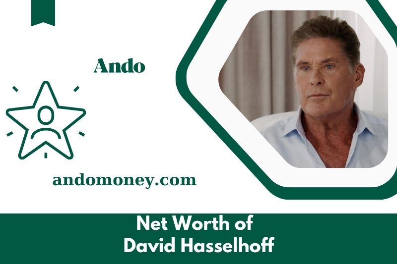 What is David Hasselhoff's net assets in 2025