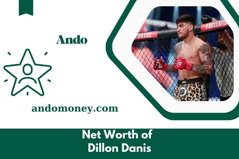 What is the net assets of Dillon Danis in 2025