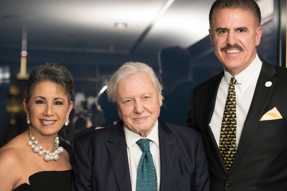 New, York ,, NY ,, March, 1st, 2018:, Rita, Magill ,, Sir