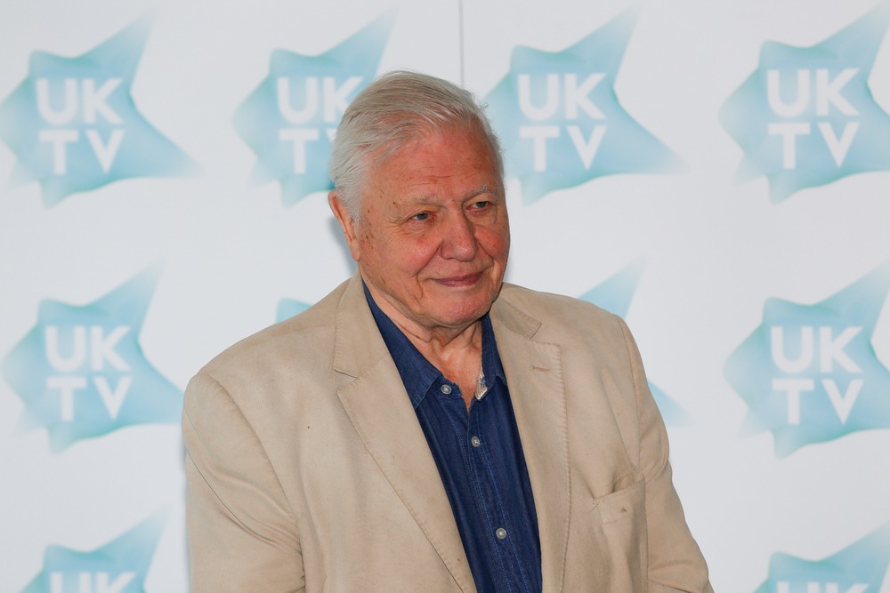 London, 6th, from, September 2016., David, Attenborough, arrives to